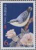 普31 中国鸟