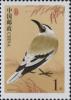 普31 中国鸟