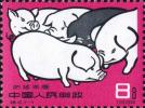 特40 养猪