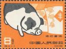 特40 养猪