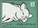 特40 养猪